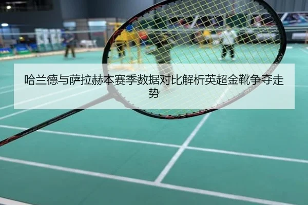 哈兰德与萨拉赫本赛季数据对比解析英超金靴争夺走势